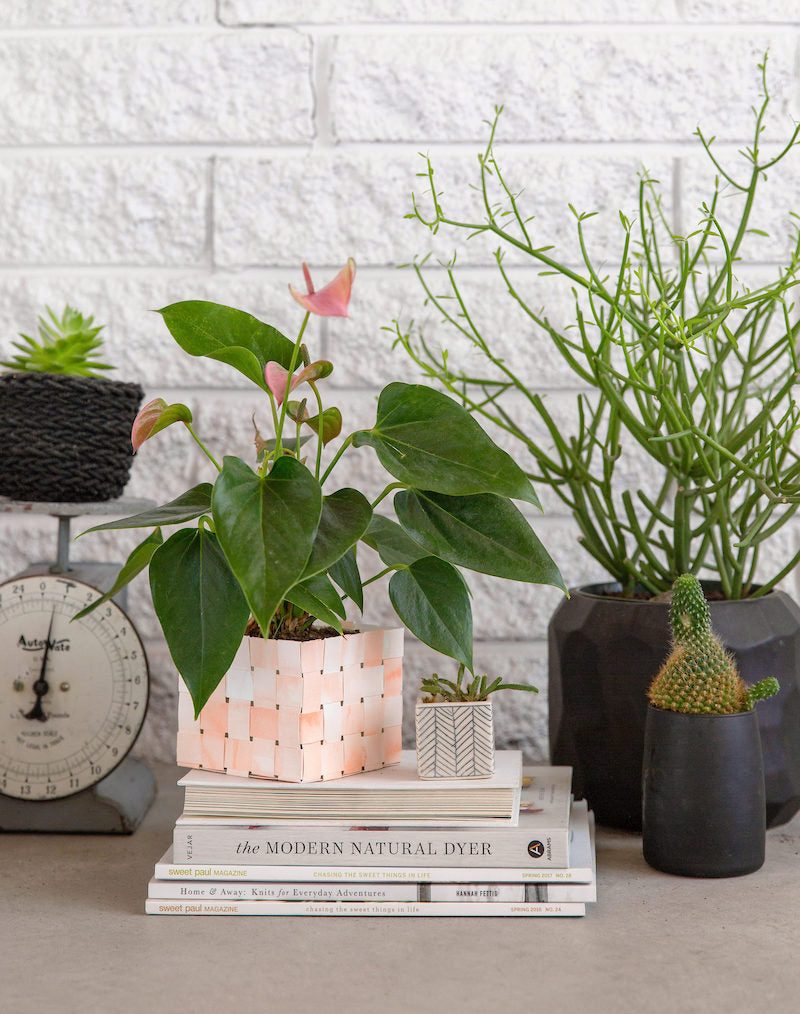 Woven Paper Basket DIY and my Book-aversary