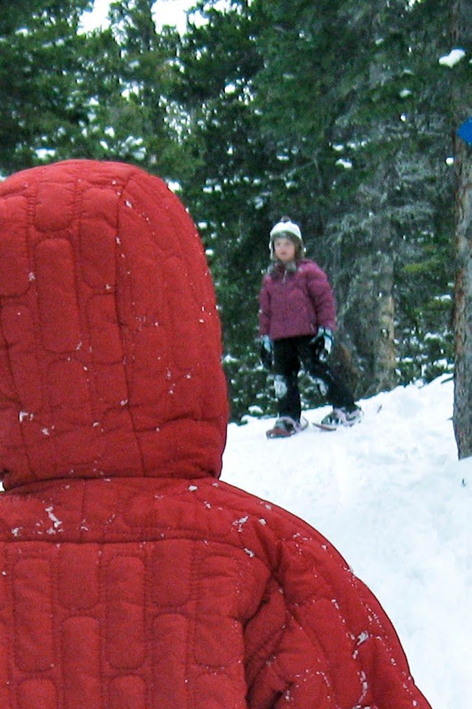 Colorado Snowshoe