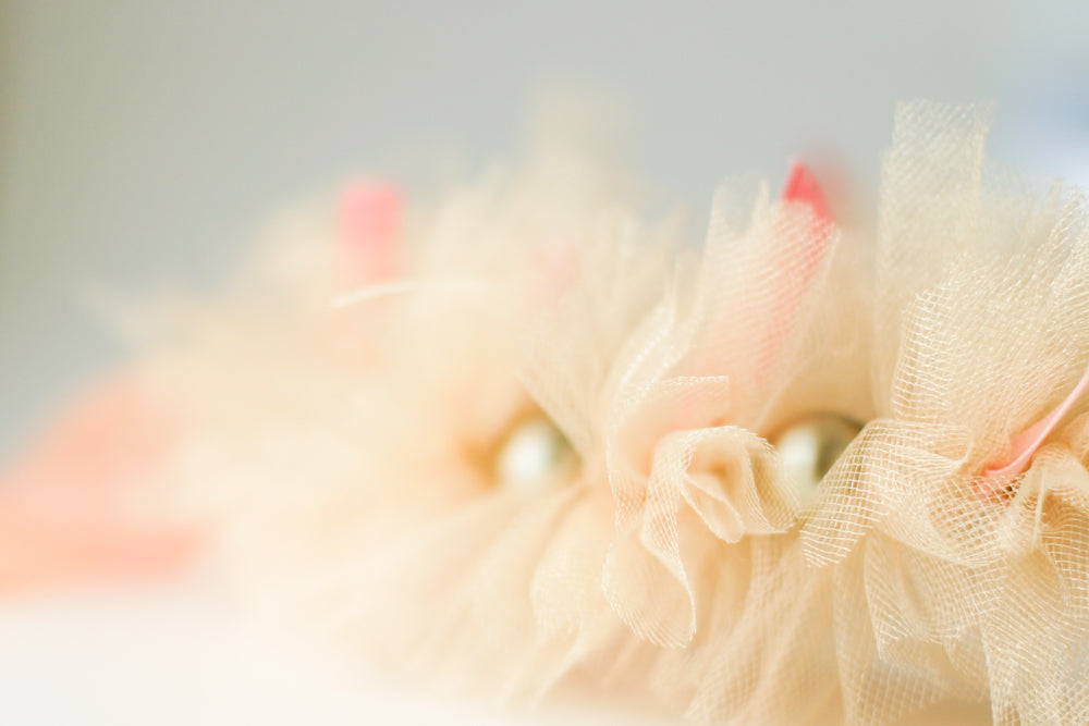 Tulle Crowns and Other Goings-On