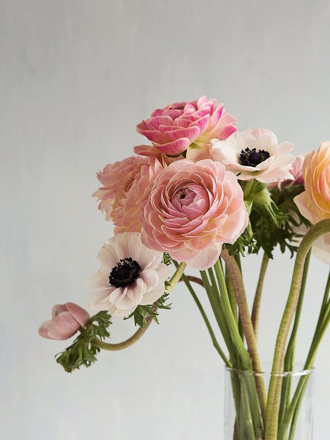 Friday Flowers