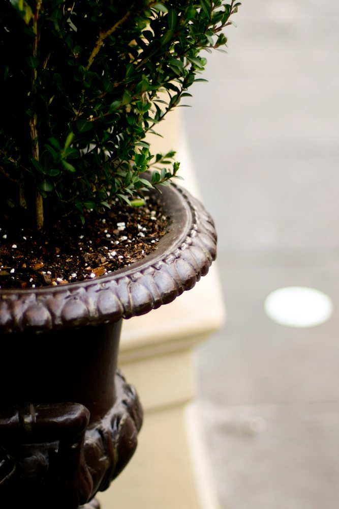 New Orleans - A Photographic Foray through the French Quarter