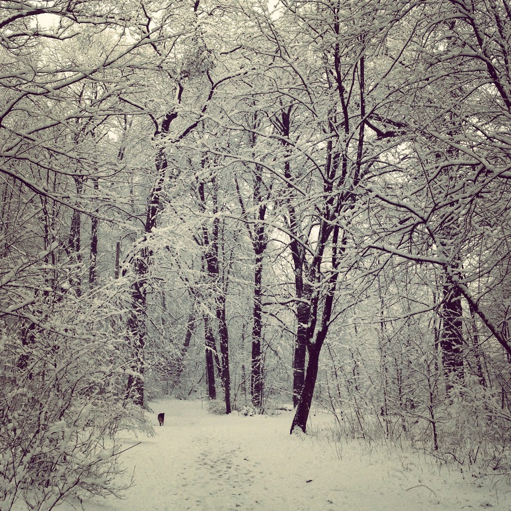 Mid-Make: Snow Day 03.25.13