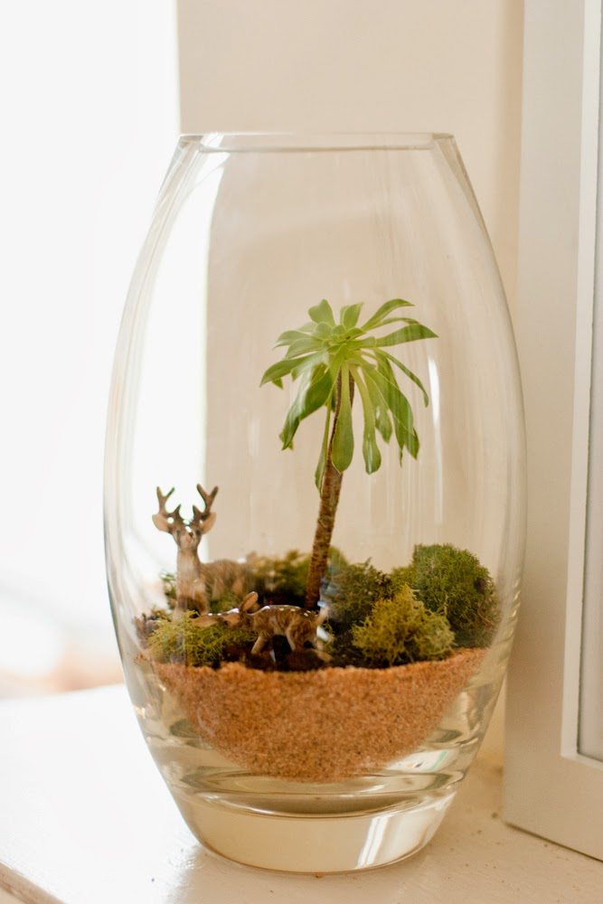 DIY Terrarium + A Sweet Plant's Little Story