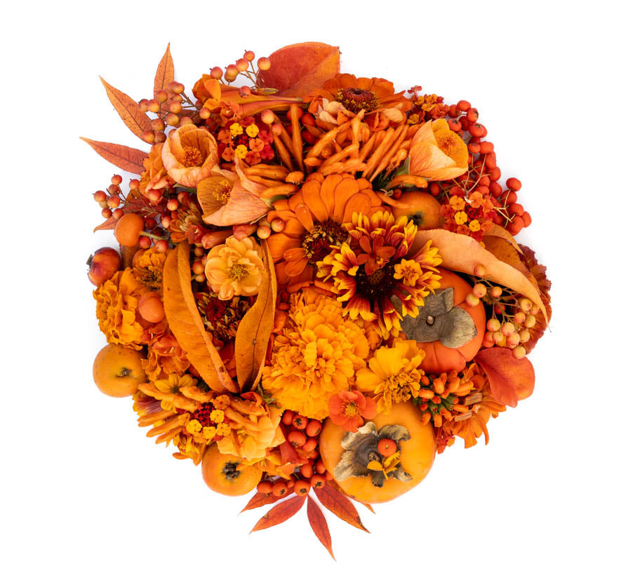 Art, Craft, Color by Lisa Solomon