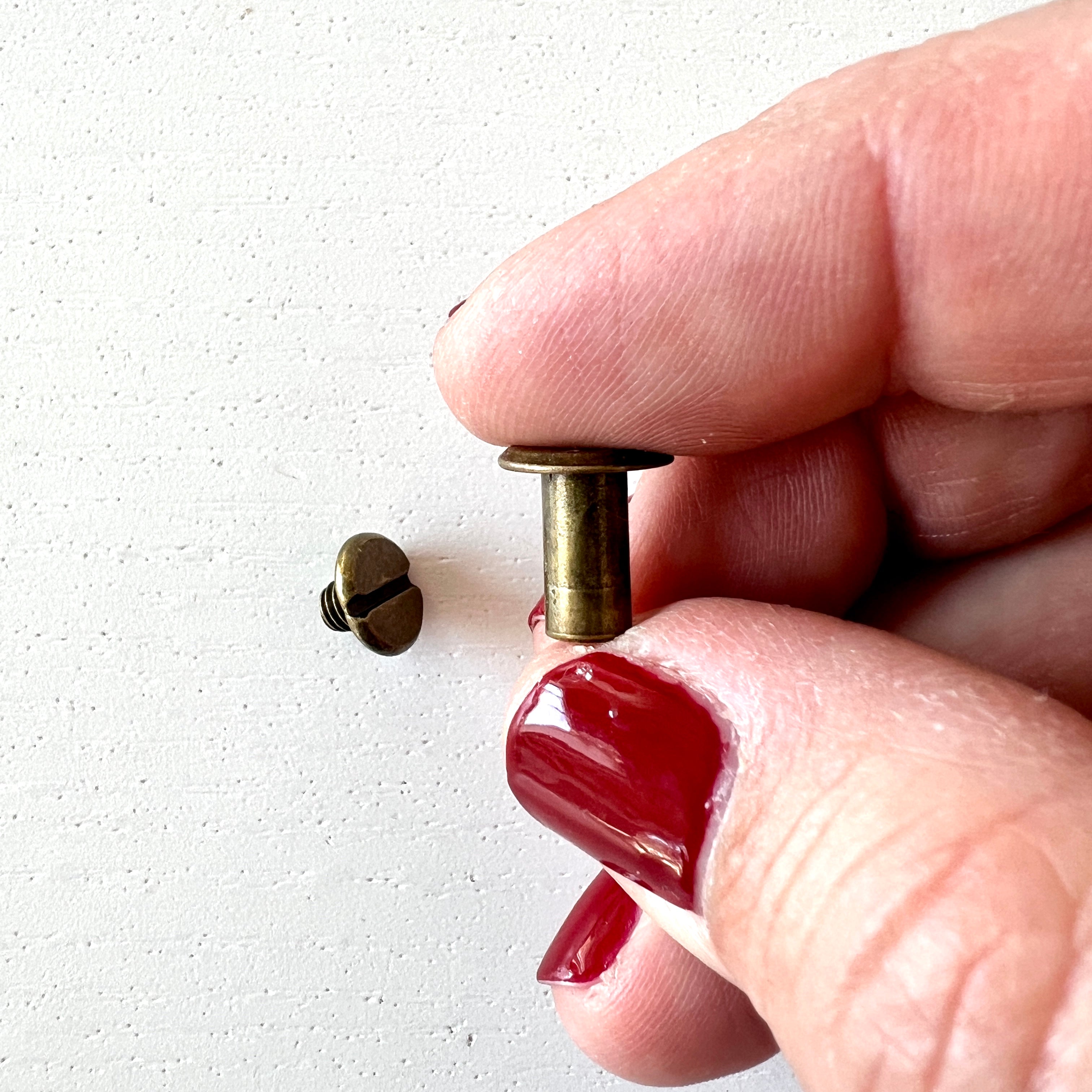 Chicago Bolts and Screws in Antique Brass