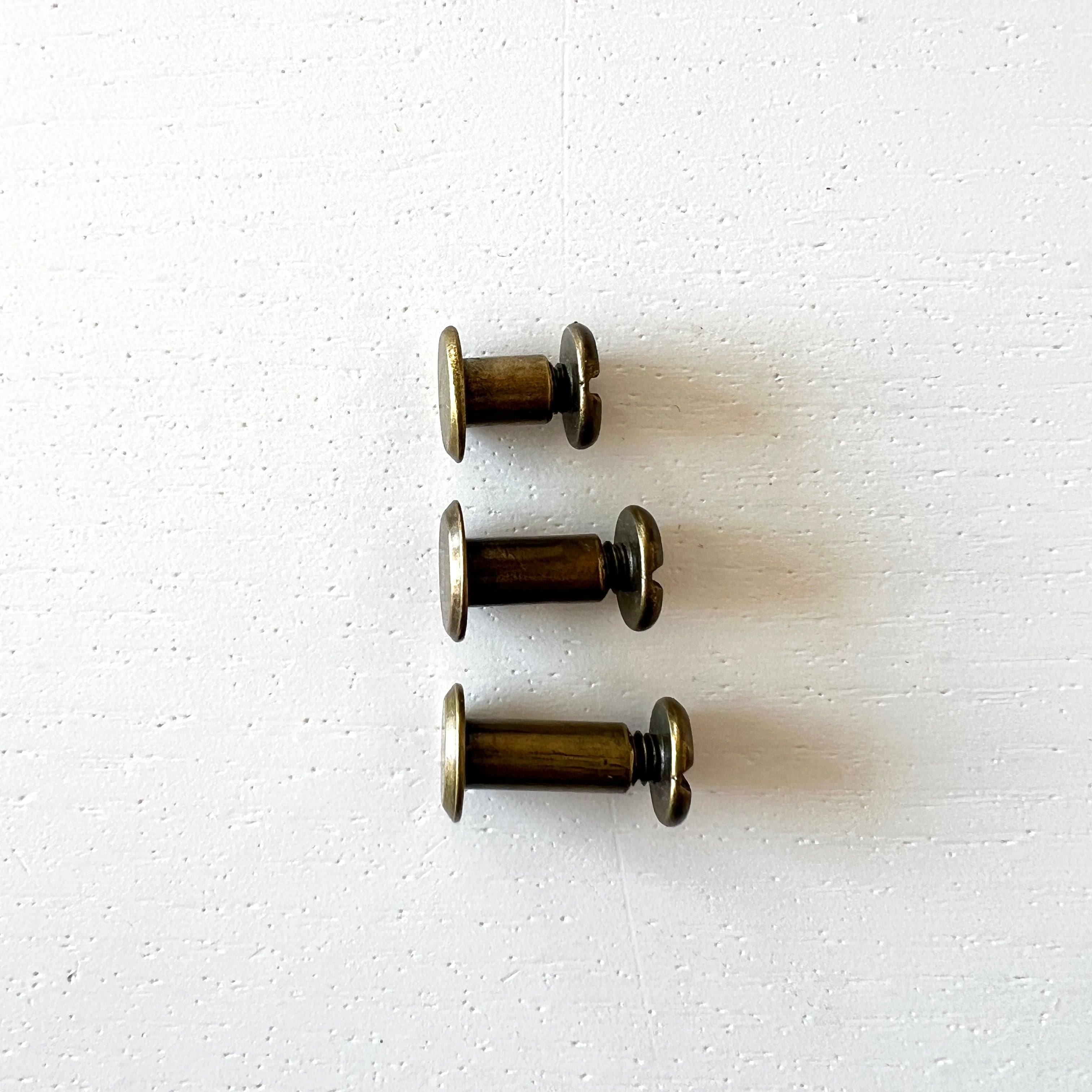 Chicago Bolts and Screws in Antique Brass