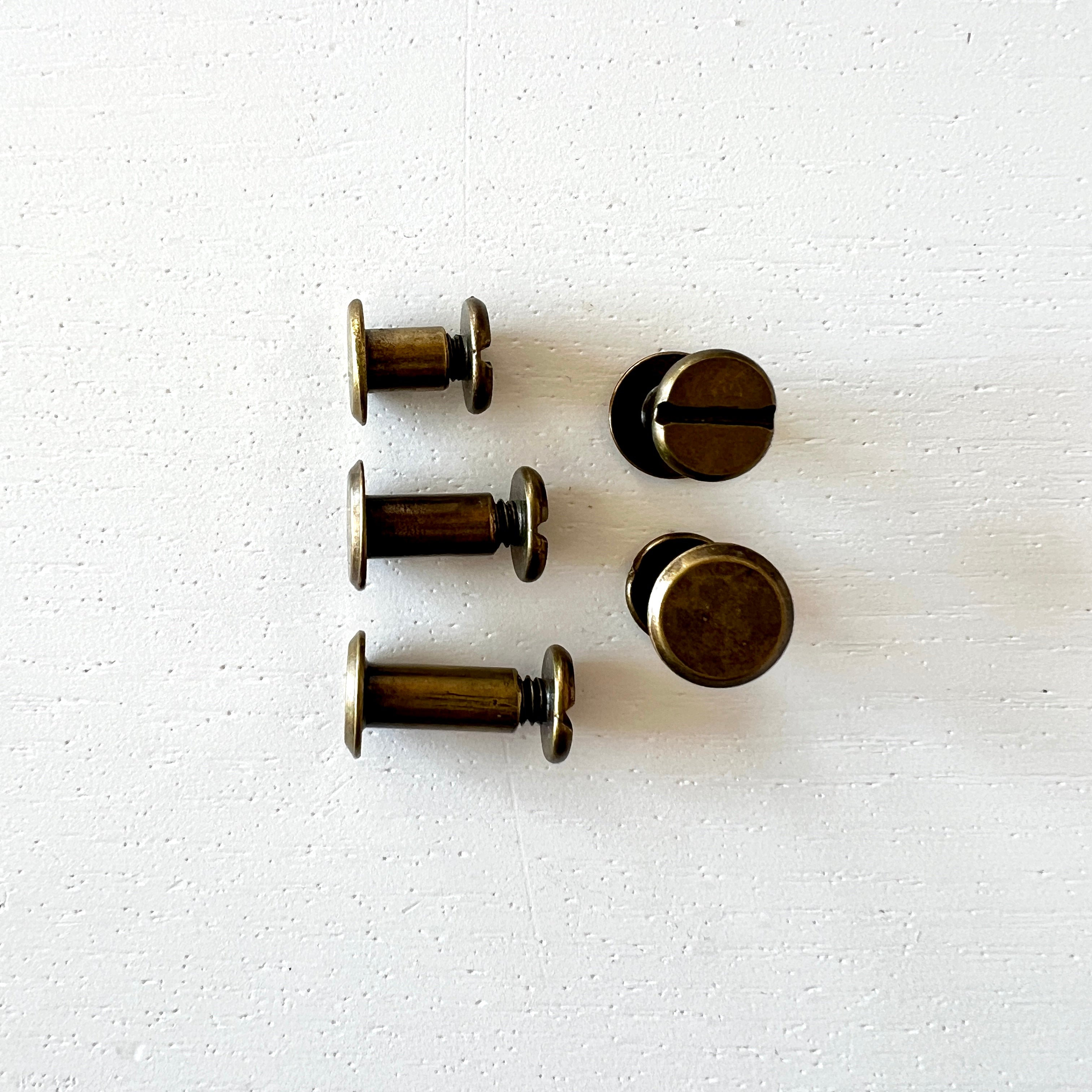 Chicago Bolts and Screws in Antique Brass