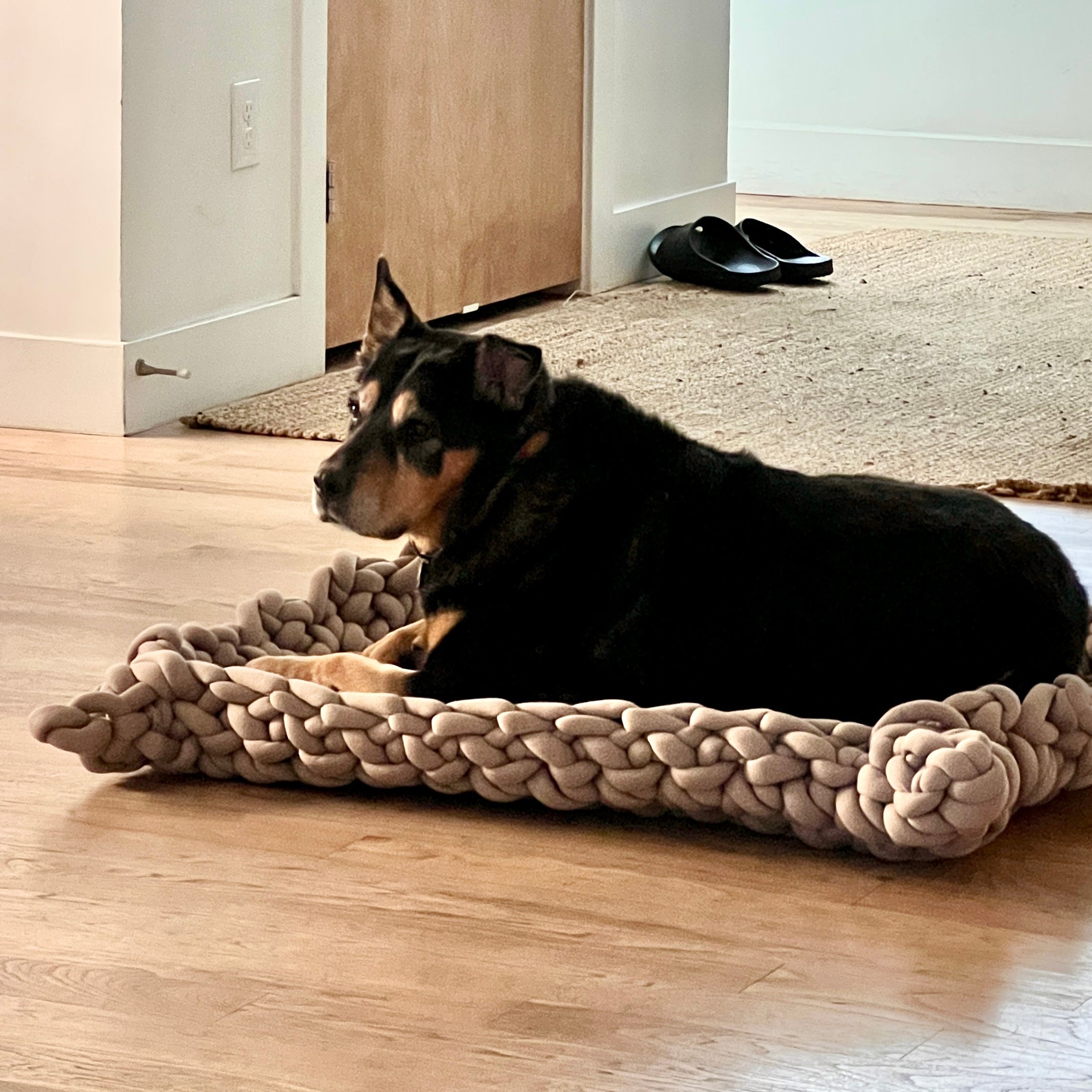 Lucy Pet Beds Pattern