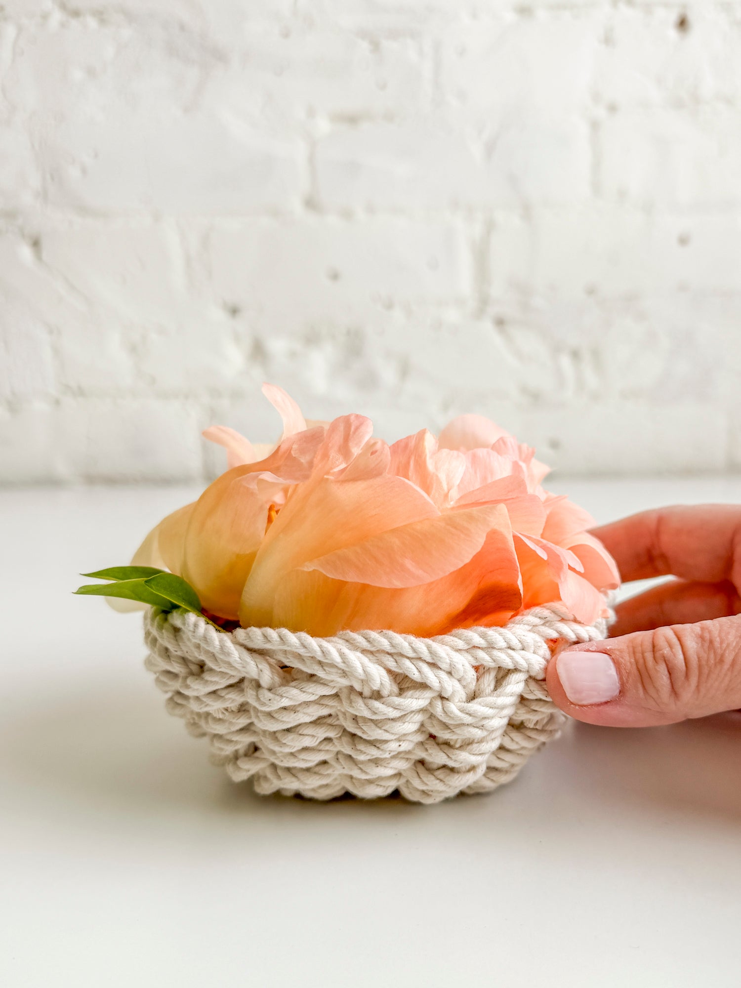 Meet Josie; our New Mini Rope Bowl