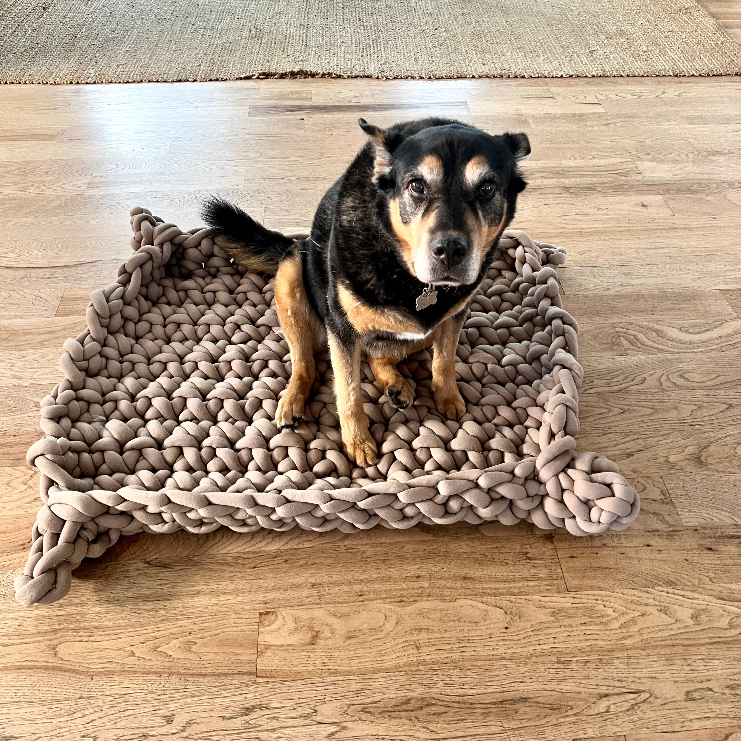Lucy Pet Bed Kit